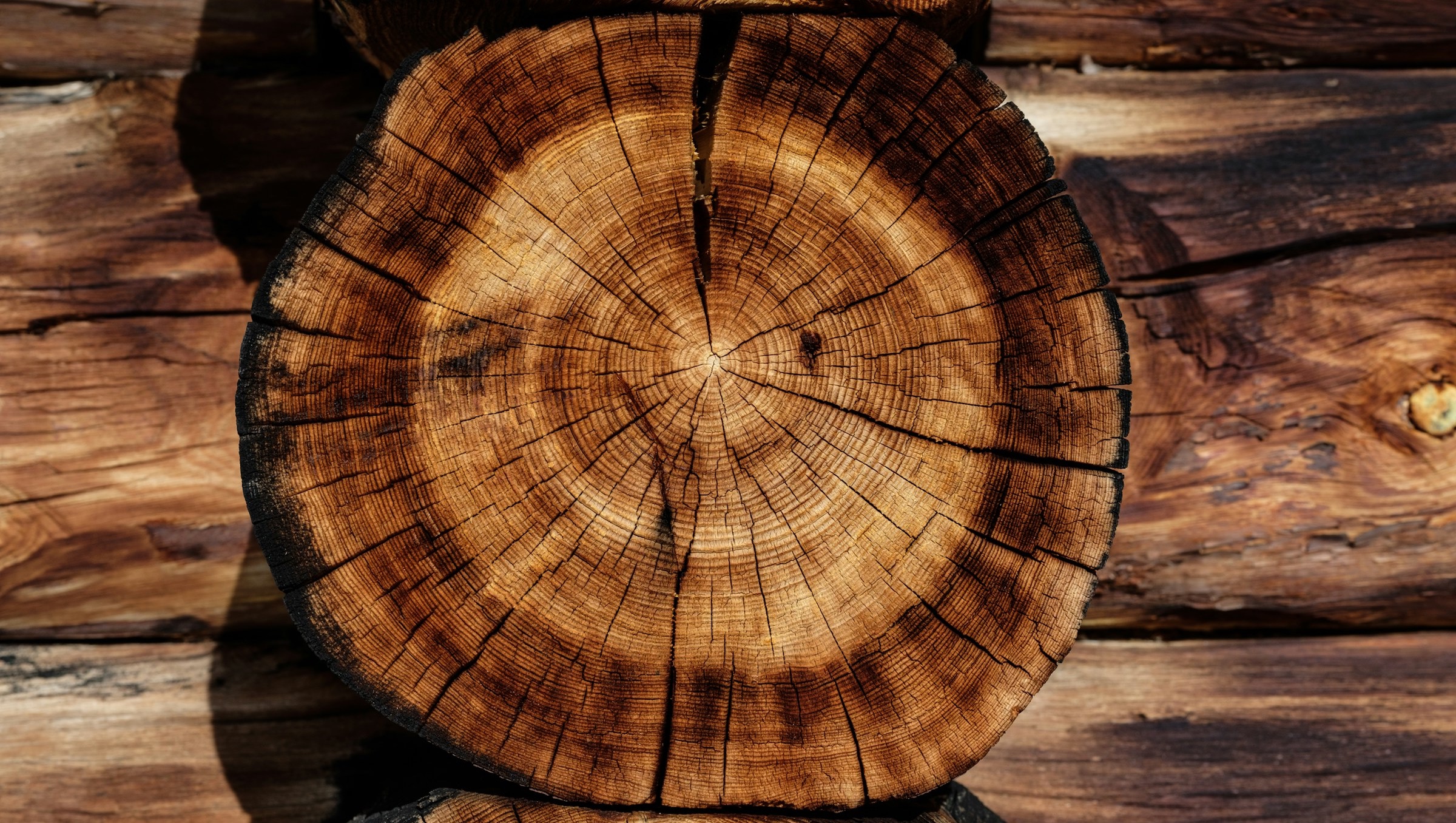 [Conditie van de boom]