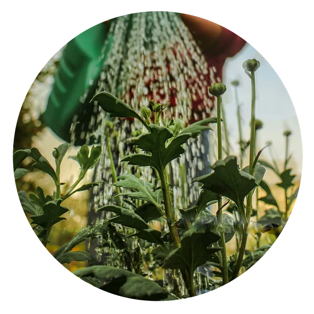 terbraak groenvoorziening