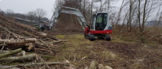 Uitdunnen houtwal
