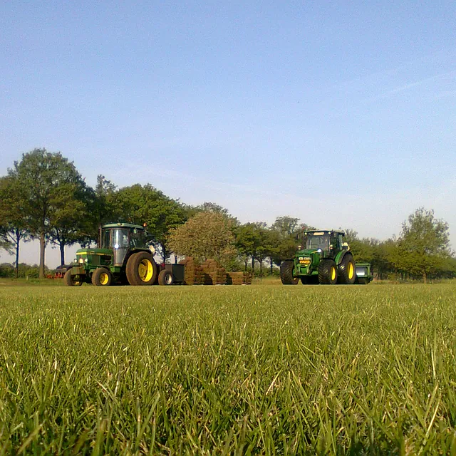 [Laatste maanden graszoden]