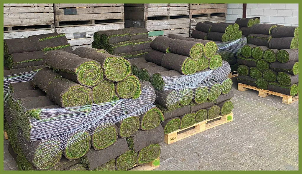 [graszoden te koop in Haaksbergen en Twente]