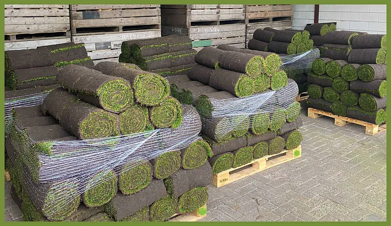 [graszoden te koop in Haaksbergen en Twente]