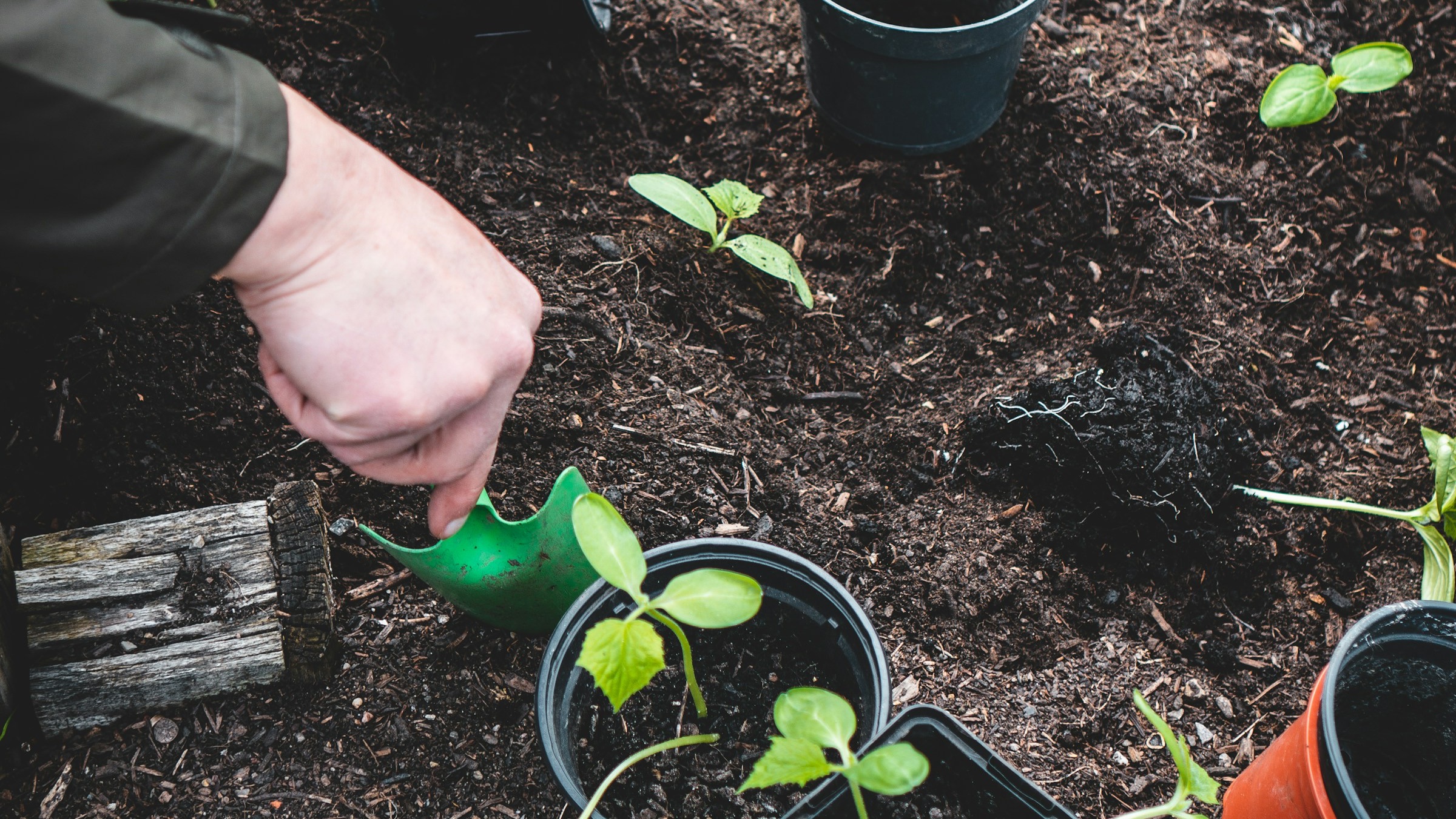 [Groenvoorziening, aanplanting van tuin]
