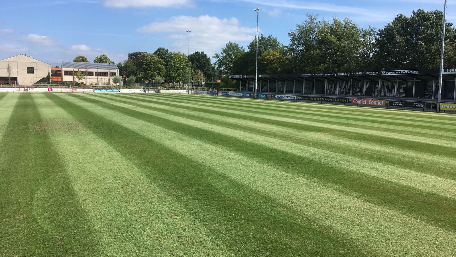 [Strakke banen gemaaid op voetbalveld]