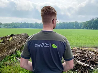 [graszoden op pallet gesneden]